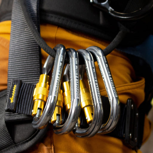 Screwgate Karabiner 19mm Light Weight Aluminium Climbers Ridgegear RGK1/A - White Wolf Safety